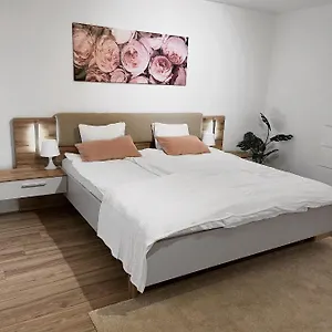 Eine Schöne Im Herzen Von Basel. Apartment